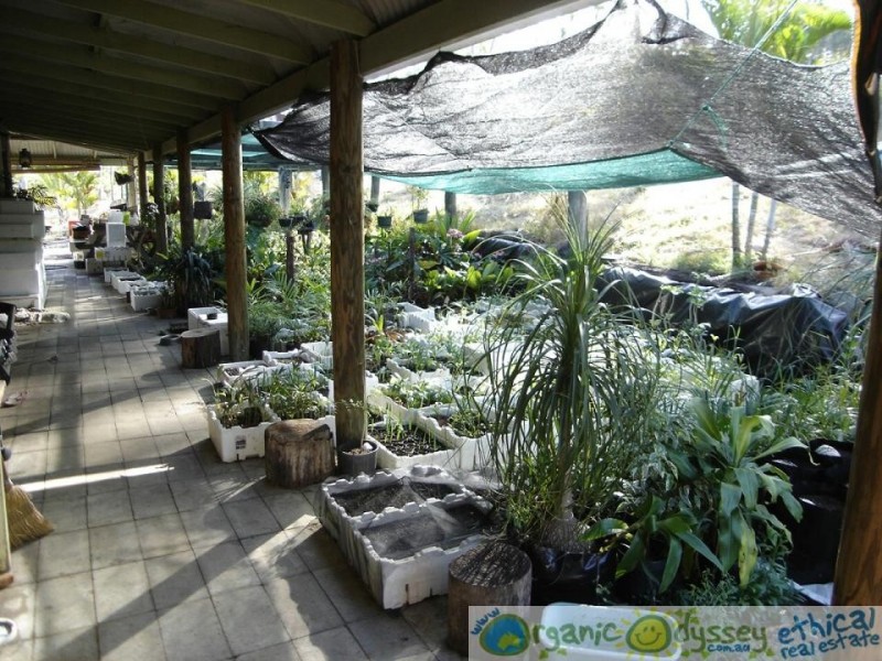 Baffle Creek QLD 4674