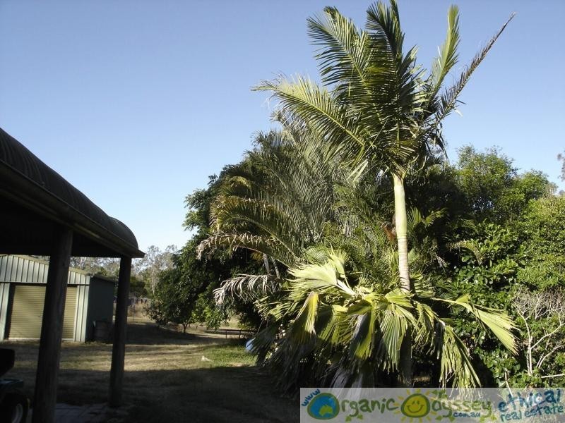 Baffle Creek QLD 4674