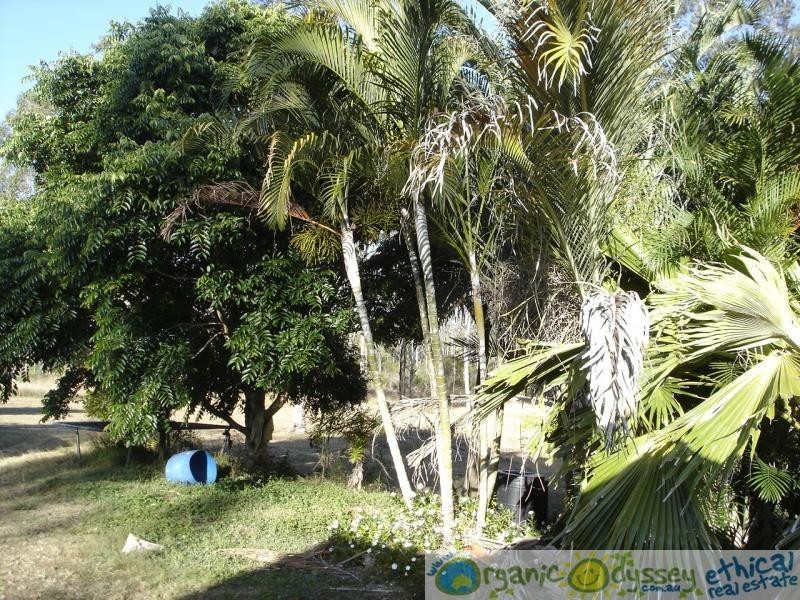 Baffle Creek QLD 4674