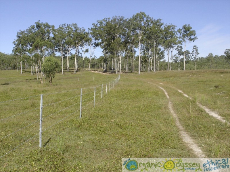 Lowmead QLD 4676