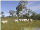 Lowmead QLD 4676