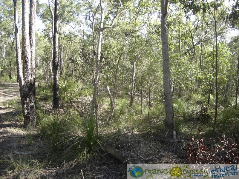 Lowmead QLD 4676