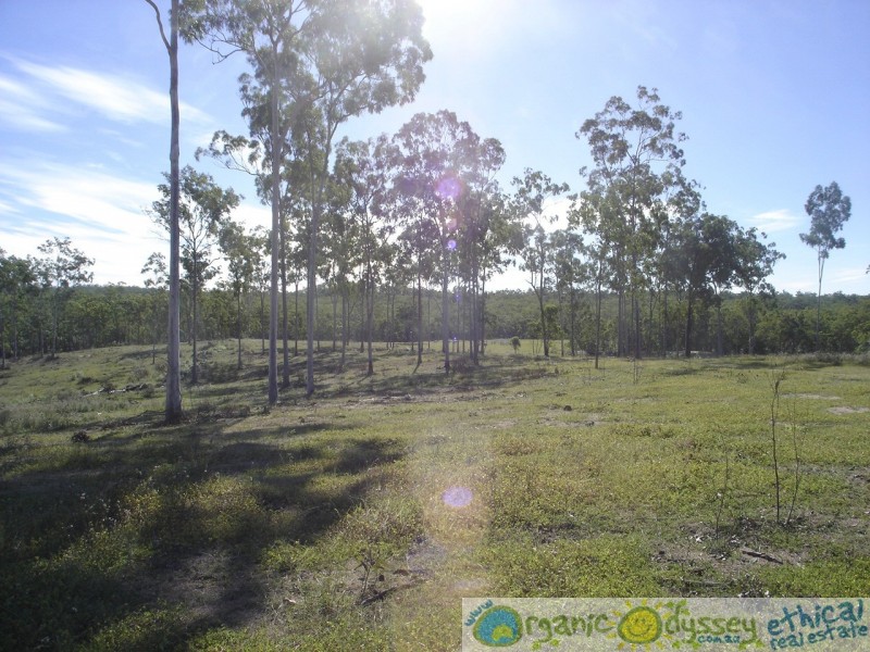 Lowmead QLD 4676