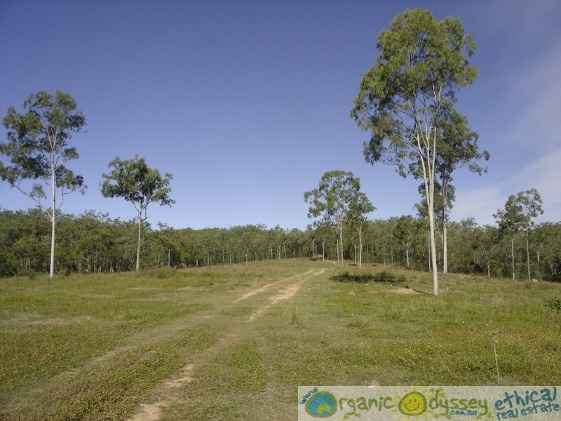 Lowmead QLD 4676