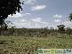 Gindoran QLD 4676