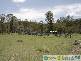 Gindoran QLD 4676