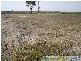 Bundaberg North QLD 4670
