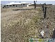 Bundaberg North QLD 4670