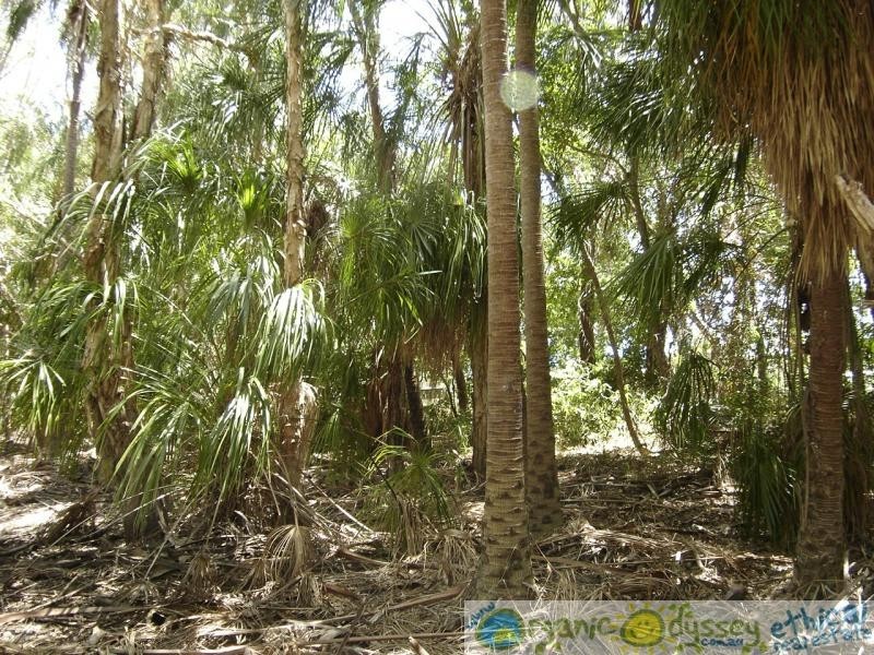 Agnes Water QLD 4677