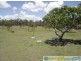 Deepwater QLD 4674