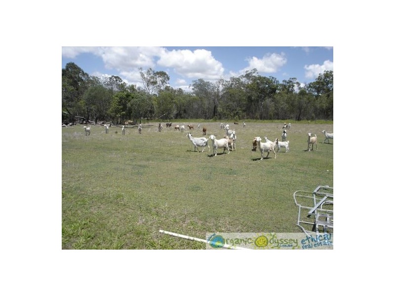 Deepwater QLD 4674