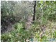 Lowmead QLD 4676