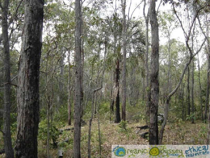 Lowmead QLD 4676