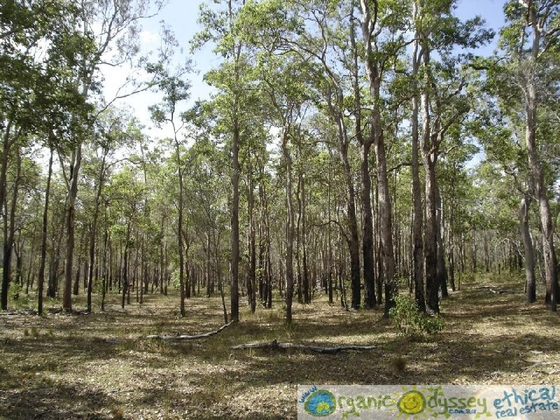 Lowmead QLD 4676