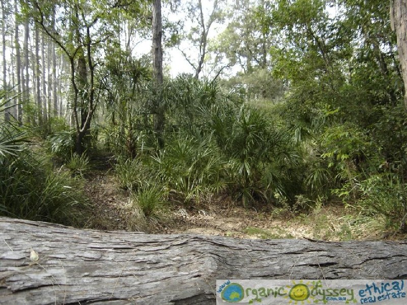 Lowmead QLD 4676
