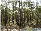Lowmead QLD 4676