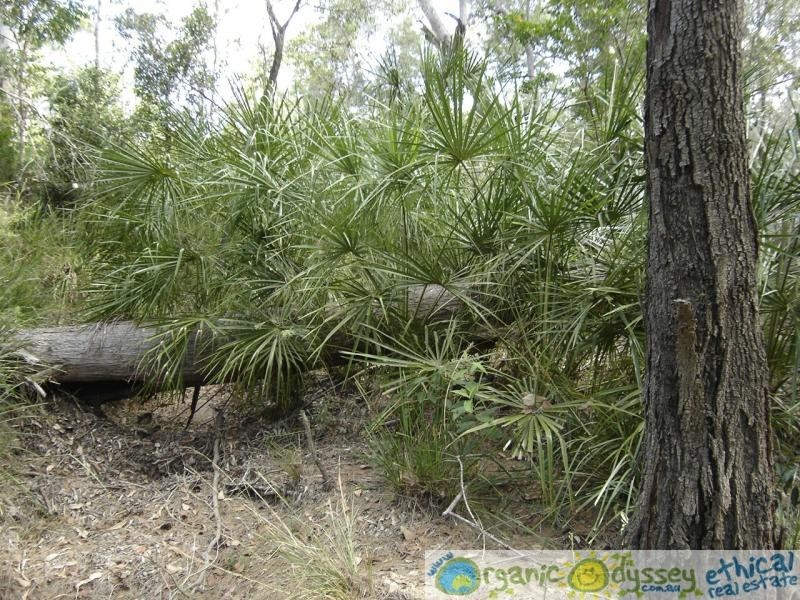 Lowmead QLD 4676