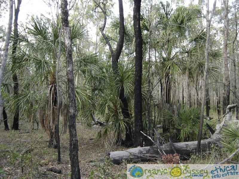 Lowmead QLD 4676