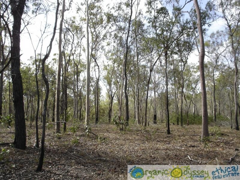 Lowmead QLD 4676