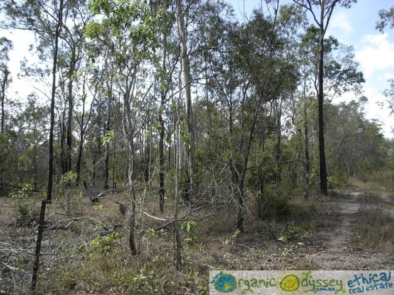 Lowmead QLD 4676