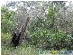Lowmead QLD 4676