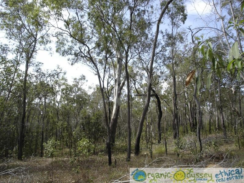 Lowmead QLD 4676