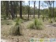 Captain Creek QLD 4677