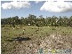 Waterloo QLD 4673