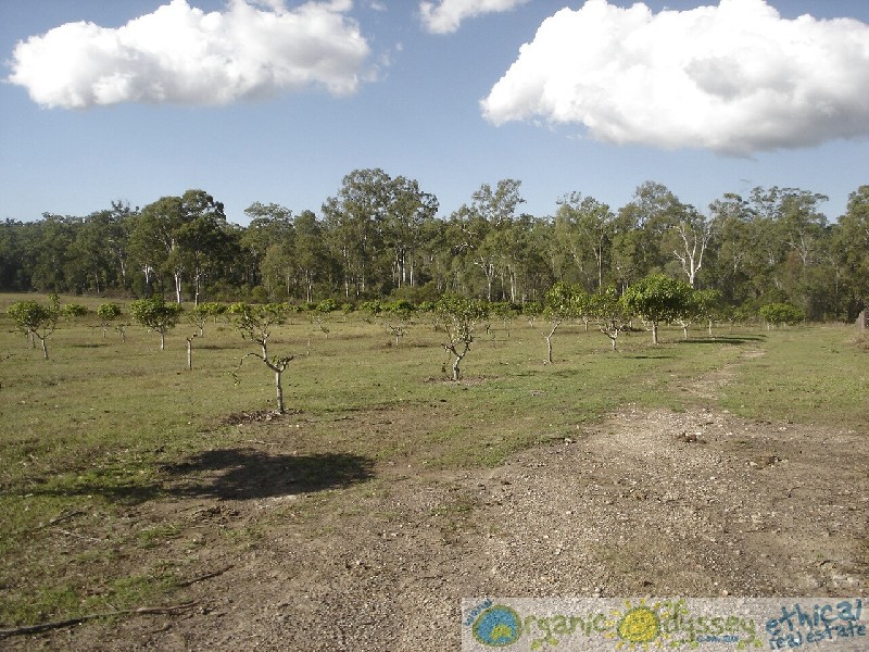 Waterloo QLD 4673