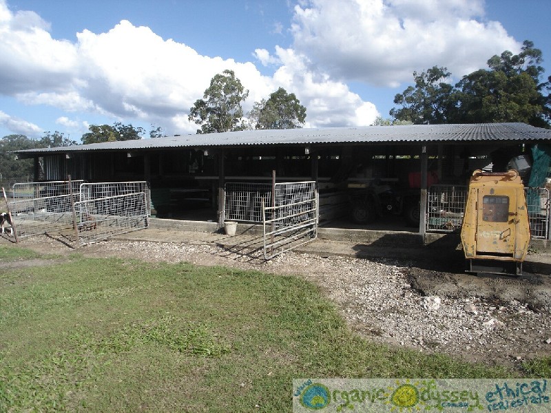 Waterloo QLD 4673