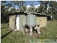 Waterloo QLD 4673