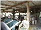 Waterloo QLD 4673