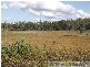 Waterloo QLD 4673