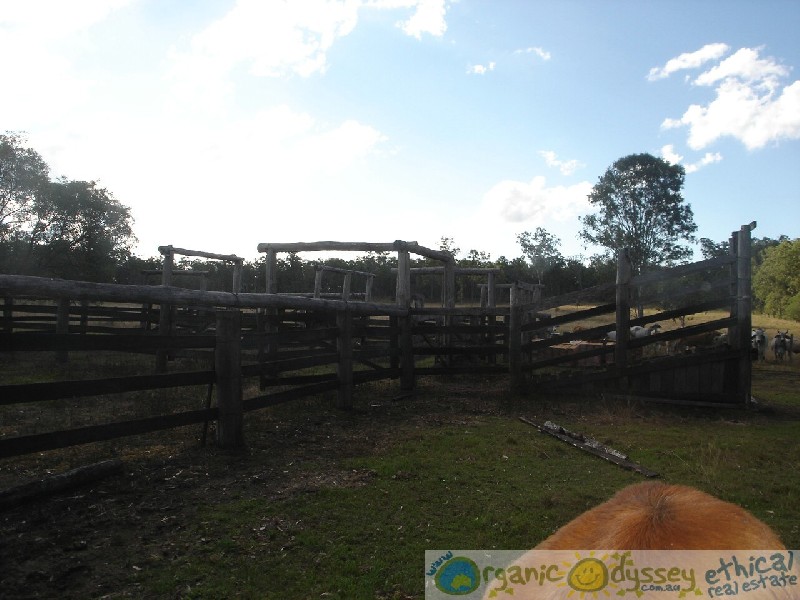 Waterloo QLD 4673