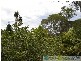 Rules Beach QLD 4674