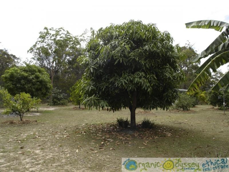 Rules Beach QLD 4674
