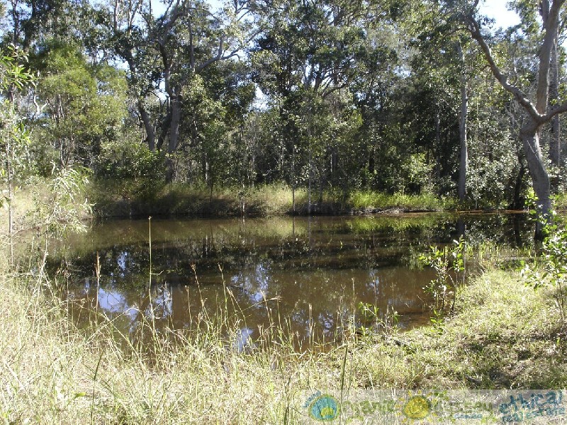 Baffle Creek QLD 4674