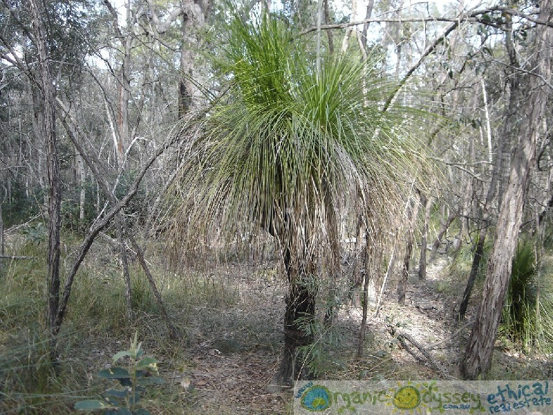 Baffle Creek QLD 4674