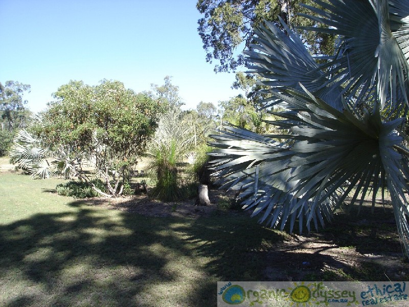 Baffle Creek QLD 4674