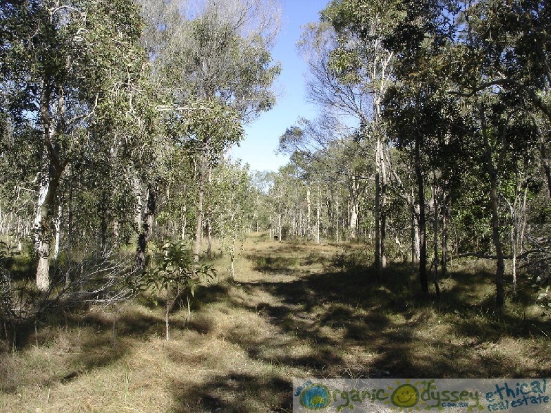 Baffle Creek QLD 4674