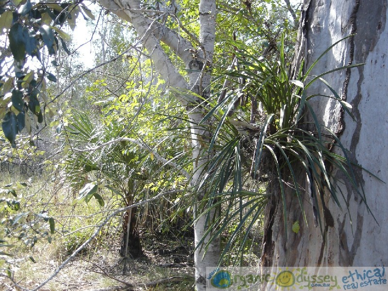 Baffle Creek QLD 4674
