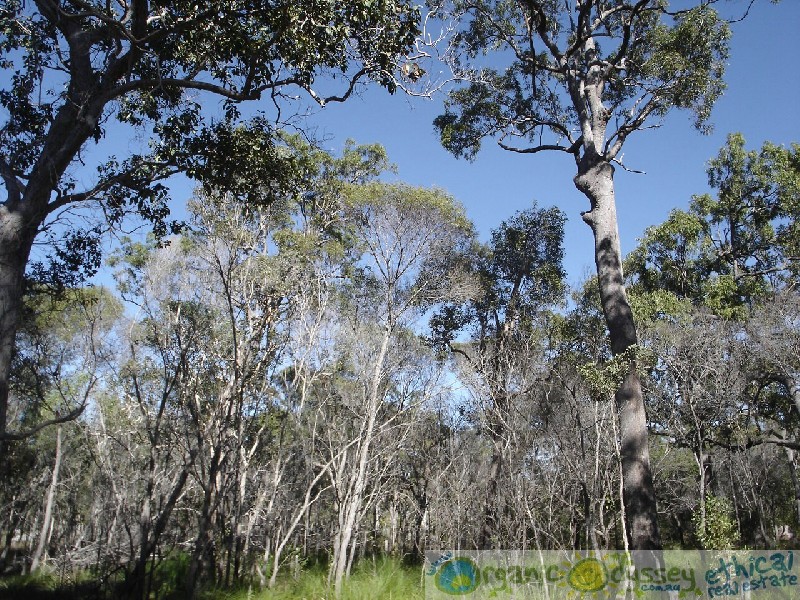 Agnes Water QLD 4677