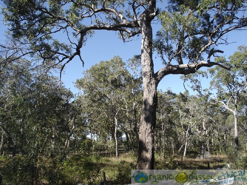 Agnes Water QLD 4677