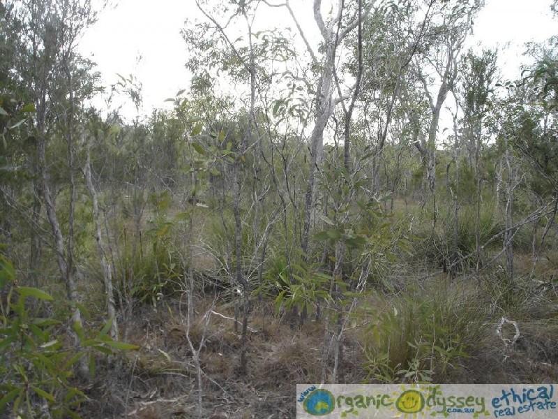 Rules Beach QLD 4674