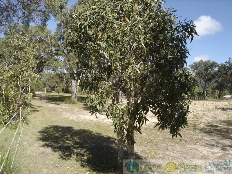 Agnes Water QLD 4677