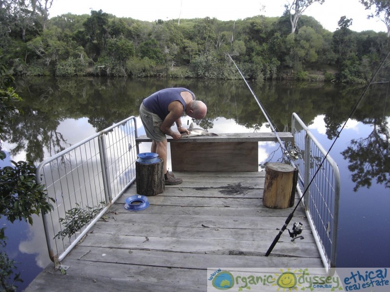 Oyster Creek QLD 4674