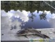 Oyster Creek QLD 4674