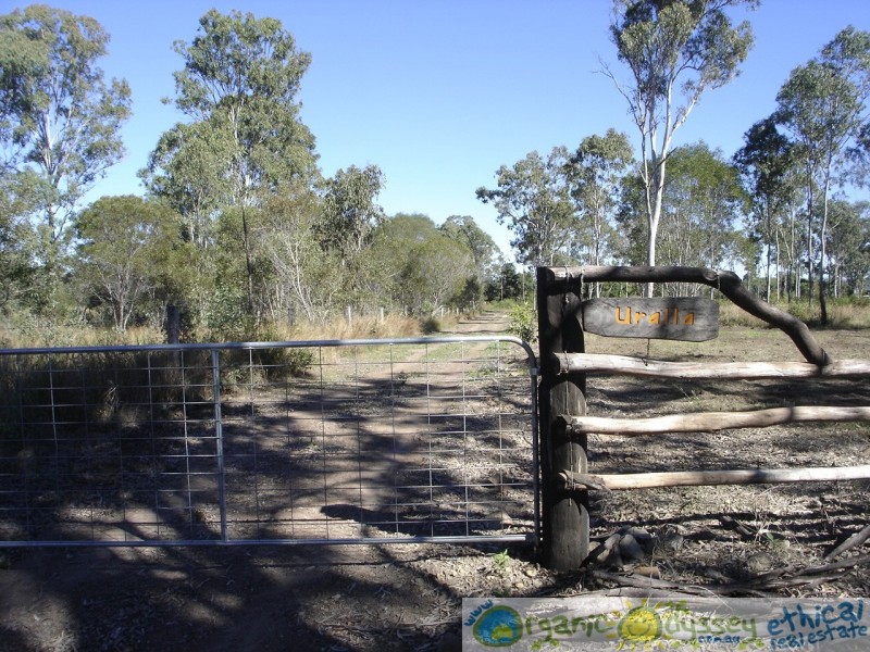 Oyster Creek QLD 4674