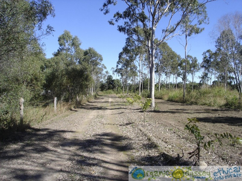 Oyster Creek QLD 4674