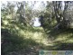 Oyster Creek QLD 4674